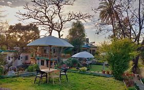 Forest Eco Lodge